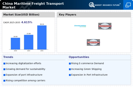 China Maritime Freight Transport Market Infographic