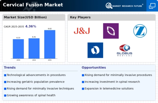 Cervical Fusion Market Infographic