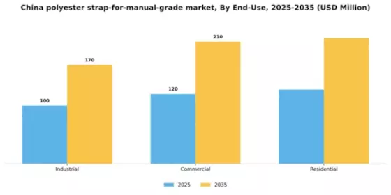 China Polyester Strap for Manual Grade Market Segment Image 1
