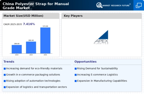 China Polyester Strap for Manual Grade Market Infographic