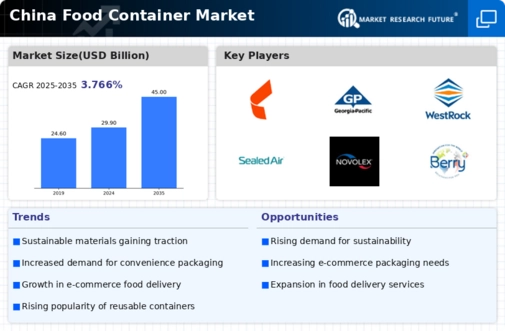 China Food Container Market Infographic