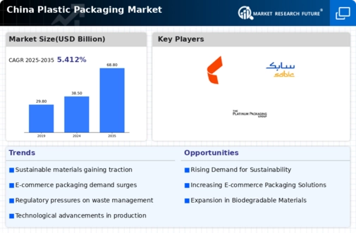 China Plastic Packaging Market Infographic