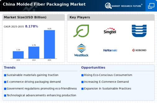 China Molded Fiber Packaging Market Infographic