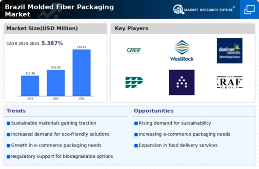 Brazil Molded Fiber Packaging Market Infographic