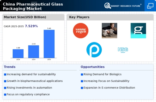 China Pharmaceutical Glass Packaging Market Infographic