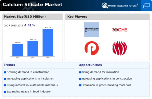Calcium Silicate Market Infographic