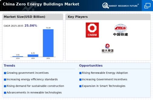 China Zero Energy Buildings Market Infographic
