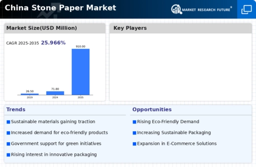 China Stone Paper Market Infographic