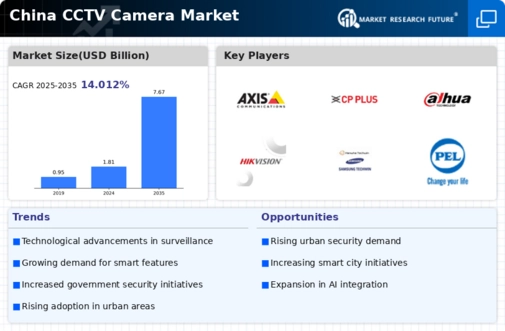 China CCTV Camera Market Infographic