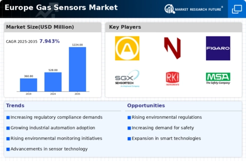Europe Gas Sensors Market Infographic