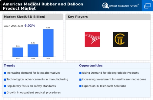 Americas Medical Rubber Balloon Products Market Infographic