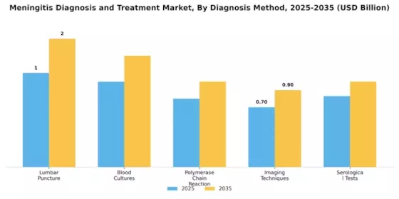 Meningitis Diagnosis and Treatment Market Segment Image 0