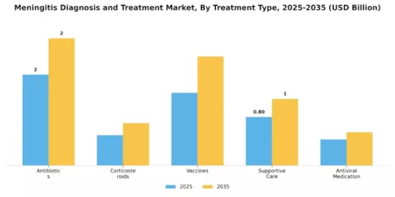 Meningitis Diagnosis and Treatment Market Segment Image 3