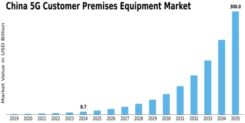 China 5G Customer Premises Equipment Market Size