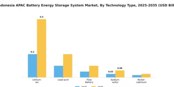 Indonesia APAC Battery Energy Storage System Market Segment Image 4