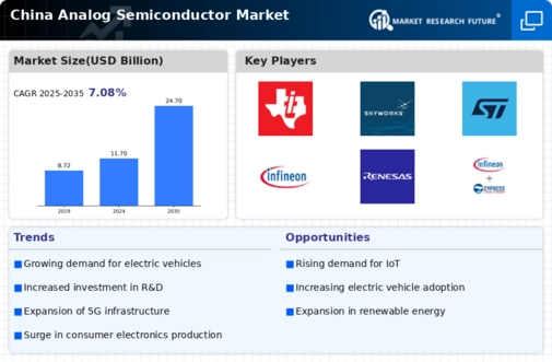 China Analog Semiconductor Market Infographic