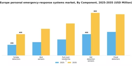 Europe Personal Emergency Response Systems Market Segment Image 0