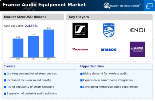 France Audio Equipment Market Infographic