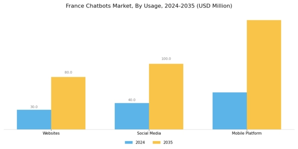France Chatbots Market Segment Image 2