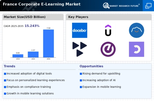 France Corporate E Learning Market Infographic