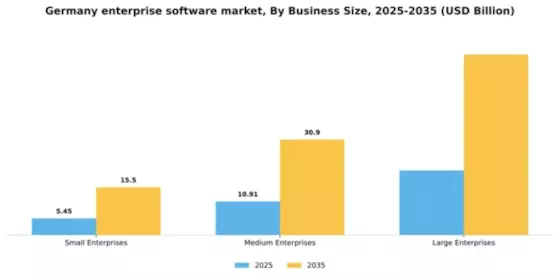 Germany Enterprise Software Market Segment Image 1