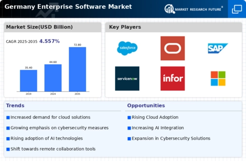 Germany Enterprise Software Market Infographic