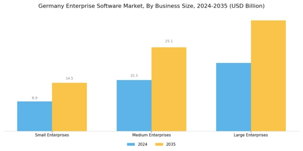 Germany Enterprise Software Market Segment Image 3