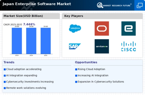 Japan Enterprise Software Market Infographic