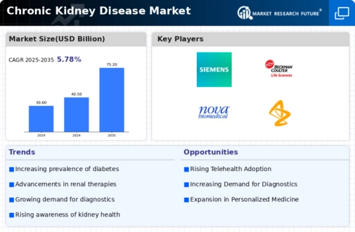 Chronic Kidney Disease Market Infographic