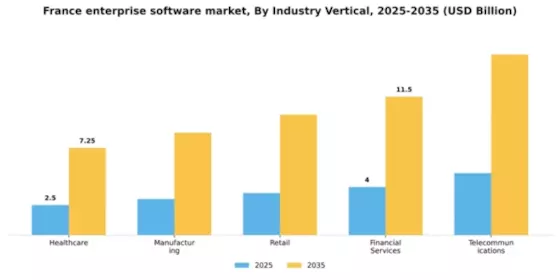 France Enterprise Software Market Segment Image 3