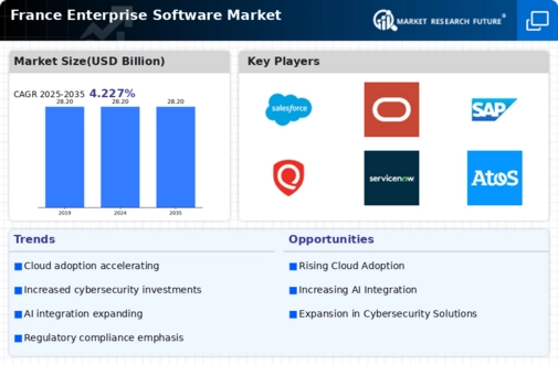 France Enterprise Software Market Infographic