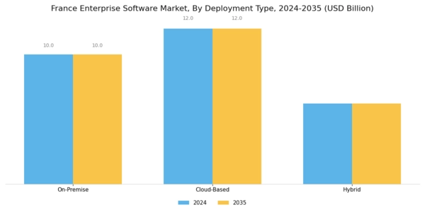 France Enterprise Software Market Segment Image 0