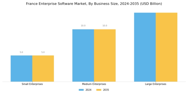 France Enterprise Software Market Segment Image 3