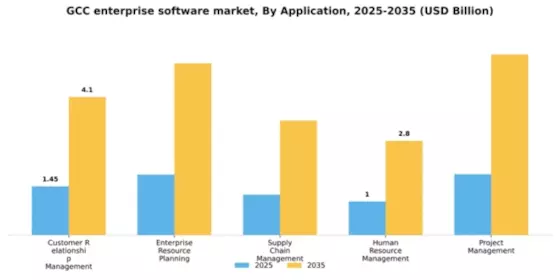 GCC Enterprise Software Market Segment Image 0