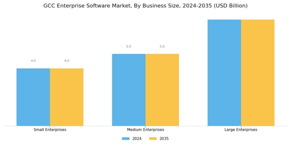 GCC Enterprise Software Market Segment Image 3