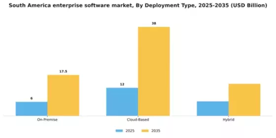 South America Enterprise Software Market Segment Image 2