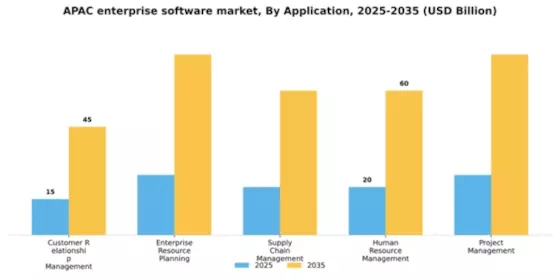 APAC Enterprise Software Market Segment Image 0