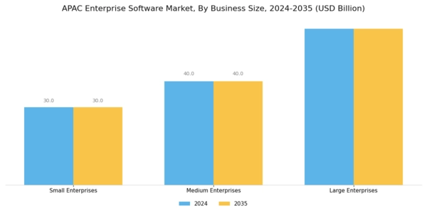 APAC Enterprise Software Market Segment Image 3