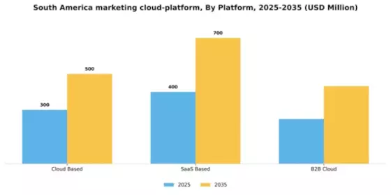 South America Marketing Cloud Platform Market Segment Image 1
