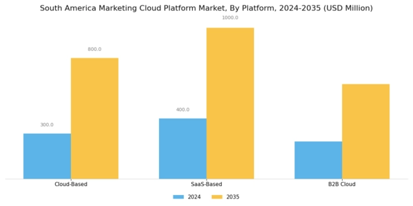 South America Marketing Cloud Platform Market Segment Image 0