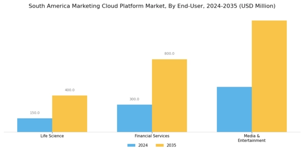 South America Marketing Cloud Platform Market Segment Image 2