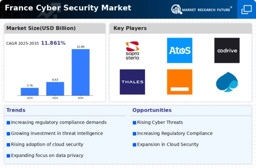 France Cyber Security Market Infographic