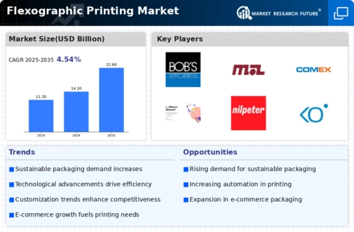 Flexographic Printing Market  Infographic