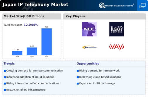 Japan IP Telephony Market Infographic