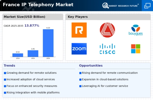 France IP Telephony Market Infographic