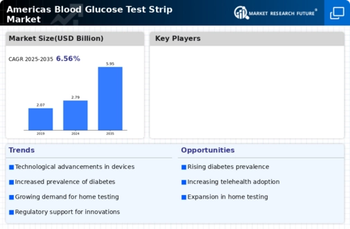 Americas Blood Glucose Test Strip Market Infographic