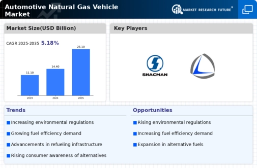 Automotive Natural Gas Vehicle Market Infographic