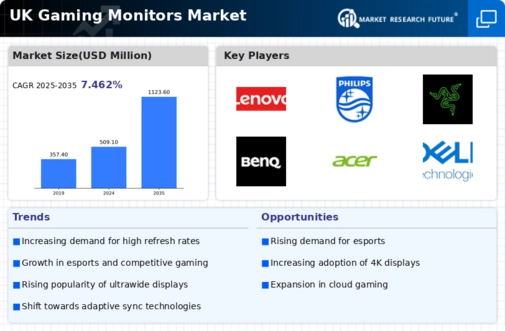 UK Gaming Monitors Market Infographic