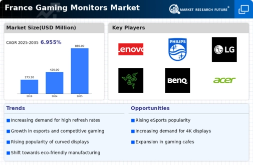 France Gaming Monitors Market Infographic