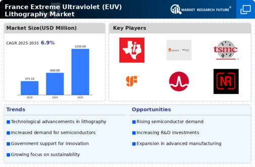 France Extreme Ultraviolet Lithography Market Infographic